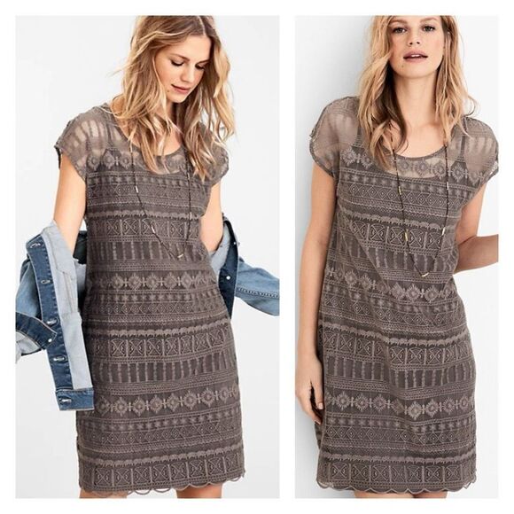 Garnet Hill Embroidered Lace Dress Size‎ 10 Chocolate Dark Brown Knee Length - Picture 1 of 9